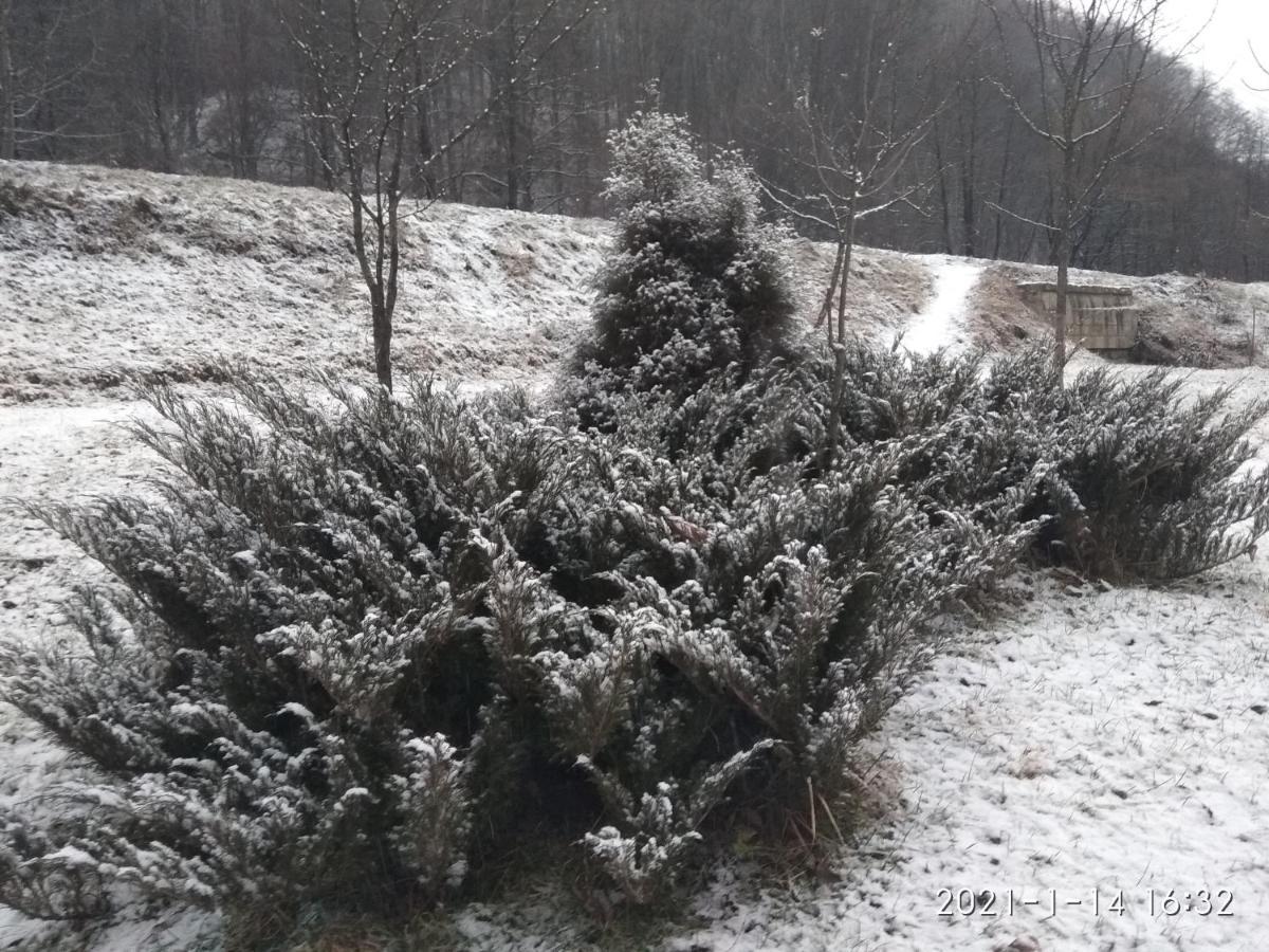 Gorec Yaremche Dış mekan fotoğraf